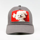 The Puppy Who’s Clearly Winning at Life on the Aska Cotton Trucker