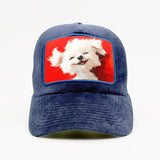 The Puppy Who’s Clearly Winning at Life on the Fjord Velvet Trucker
