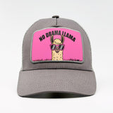 Chill Vibes Only: The No Drama Llama on the Aska Cotton Trucker
